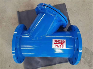 Y型过滤器